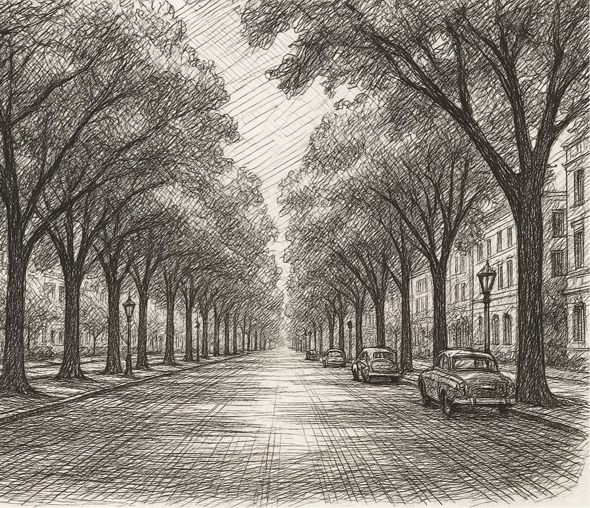 black and white hand drawn image of a boulevard